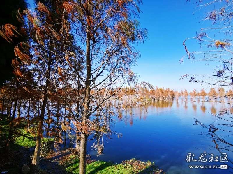 逃出猫头鹰岛